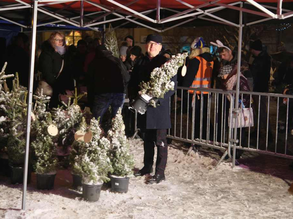 Choinki rozdane. W niedzielę Spotkanie Wigilijne (zdjęcia)