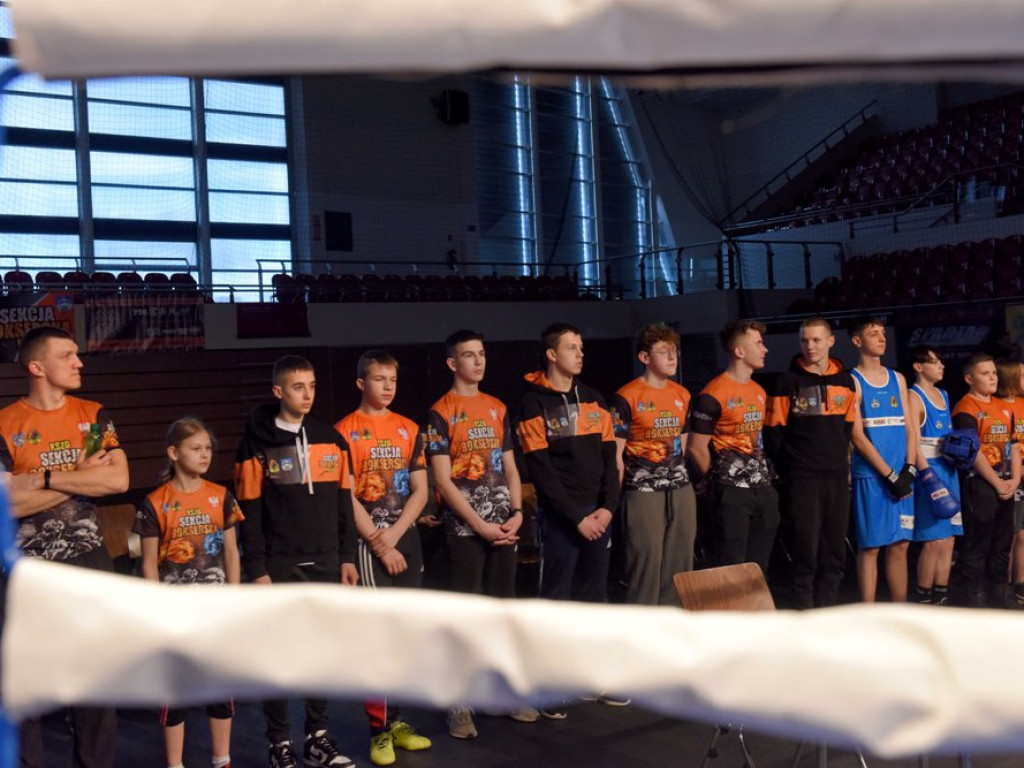 Świętokrzyski boks nie istnieje bez KSZO! Pięściarski KSZO ma się dobrze! Mamy 14 mistrzów i 12 wicemistrzów okręgu! (zdjęcia)