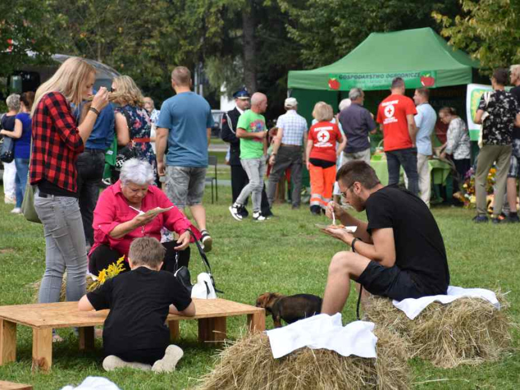 POWIATOWE ŚWIĘTO PLONÓW