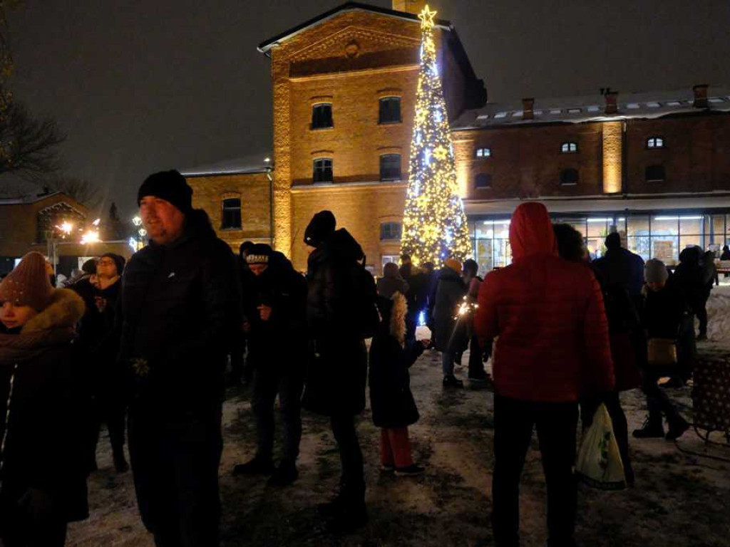 Choinka rozświetlona. Zaczął się świąteczny czas w Ostrowcu Świętokrzyskim