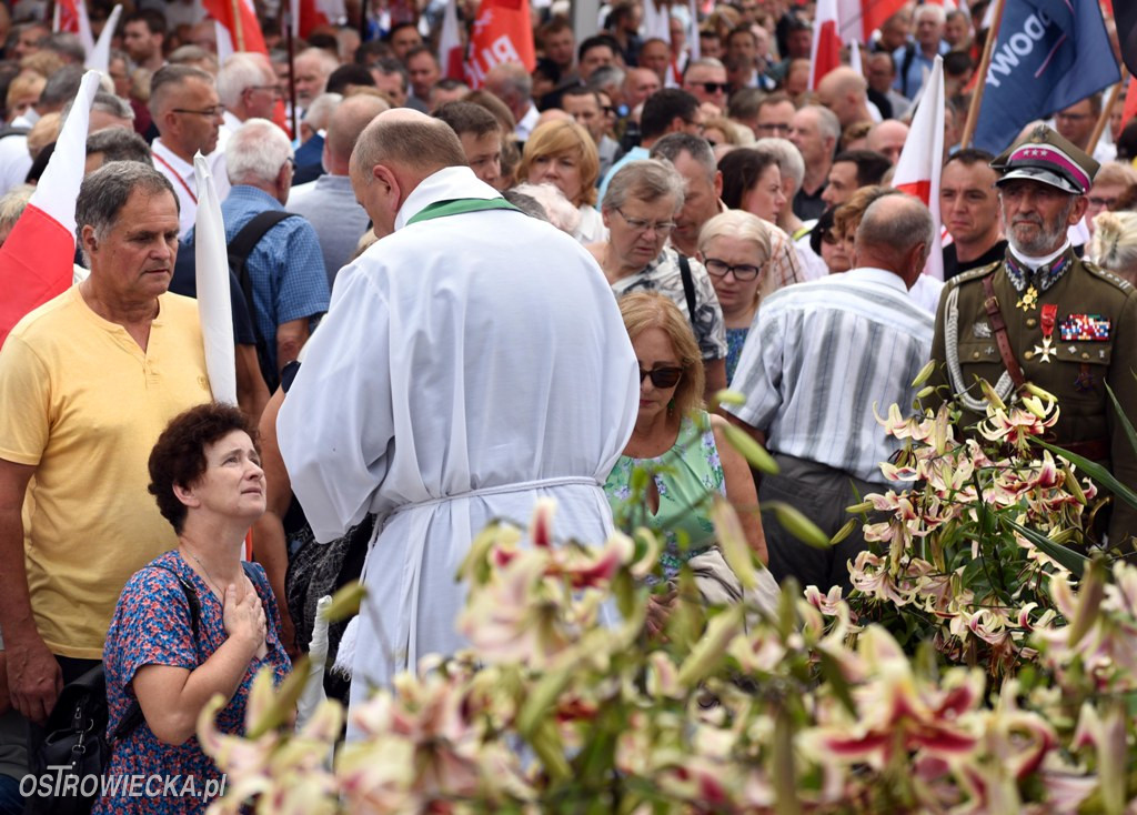 Odsłonięcie pomnika 