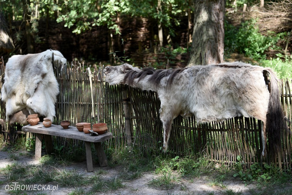 IV Ostrowiecki Festiwal Kultury Prehistorycznej i Antycznej