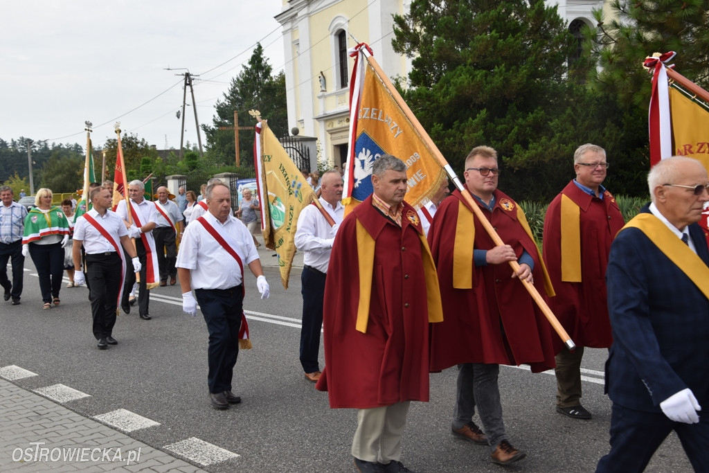 Świętokrzyskie Święto Pszczoły