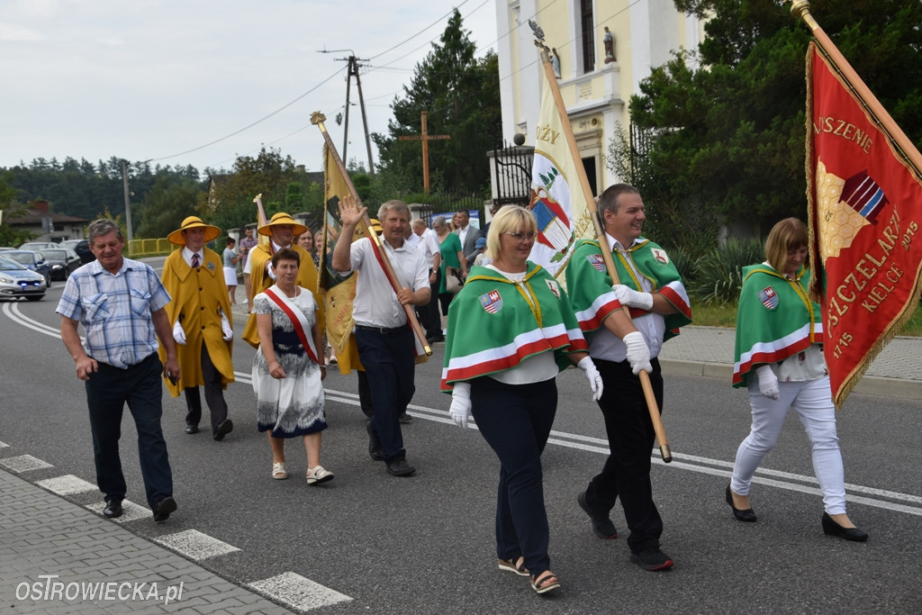 Świętokrzyskie Święto Pszczoły