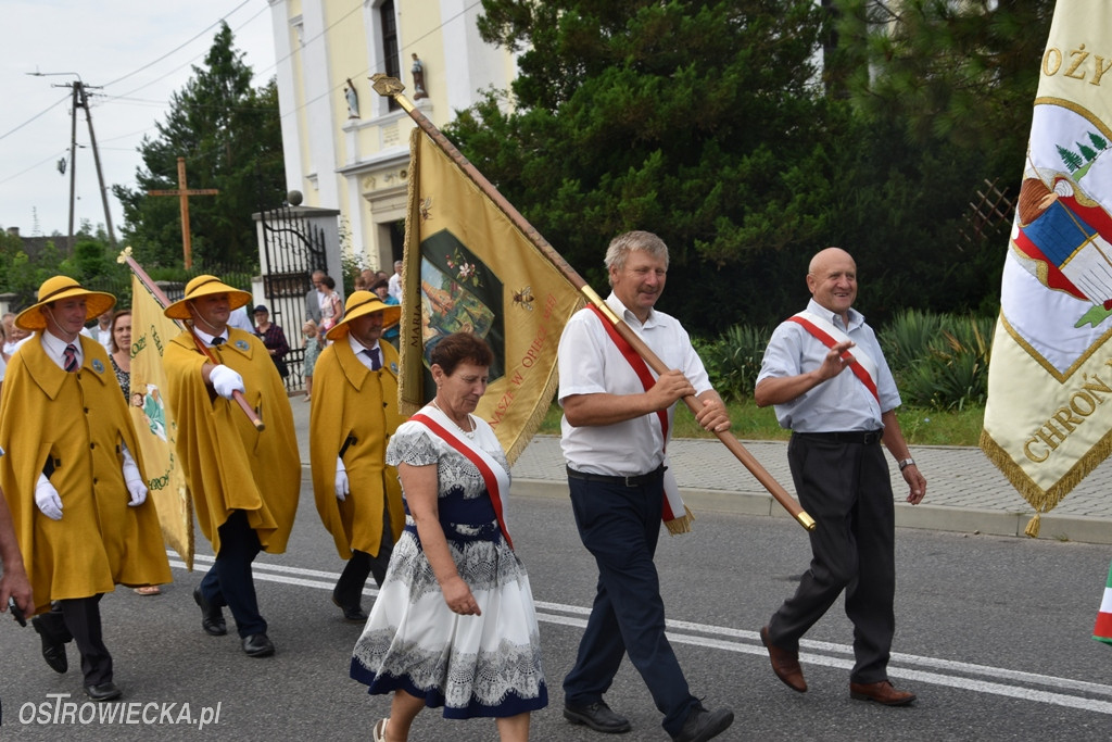 Świętokrzyskie Święto Pszczoły