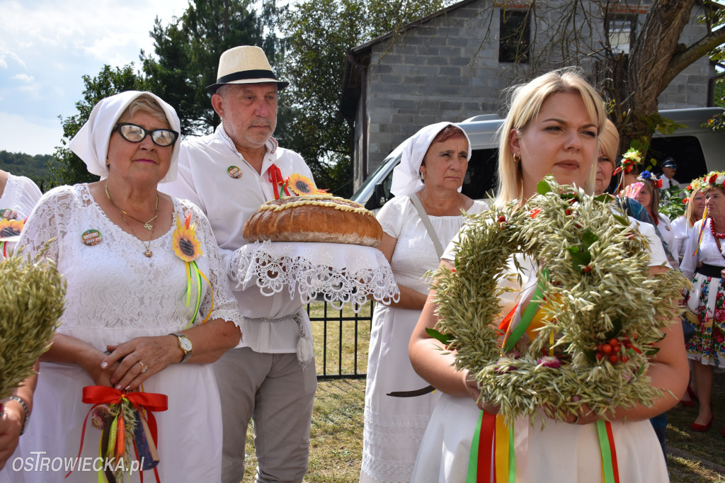 Powiatowo-Gminne Dożynki  w Bałtowie