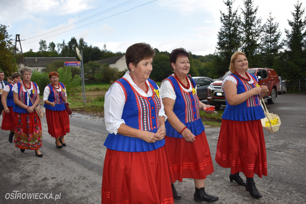 Dożynki w Gromadzicach