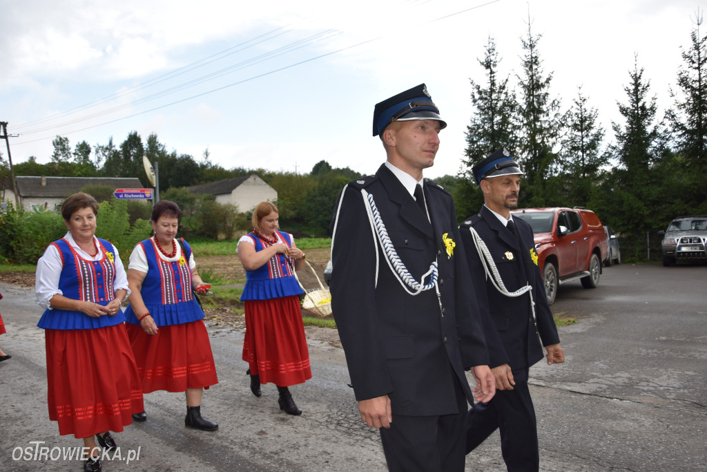 Dożynki w Gromadzicach