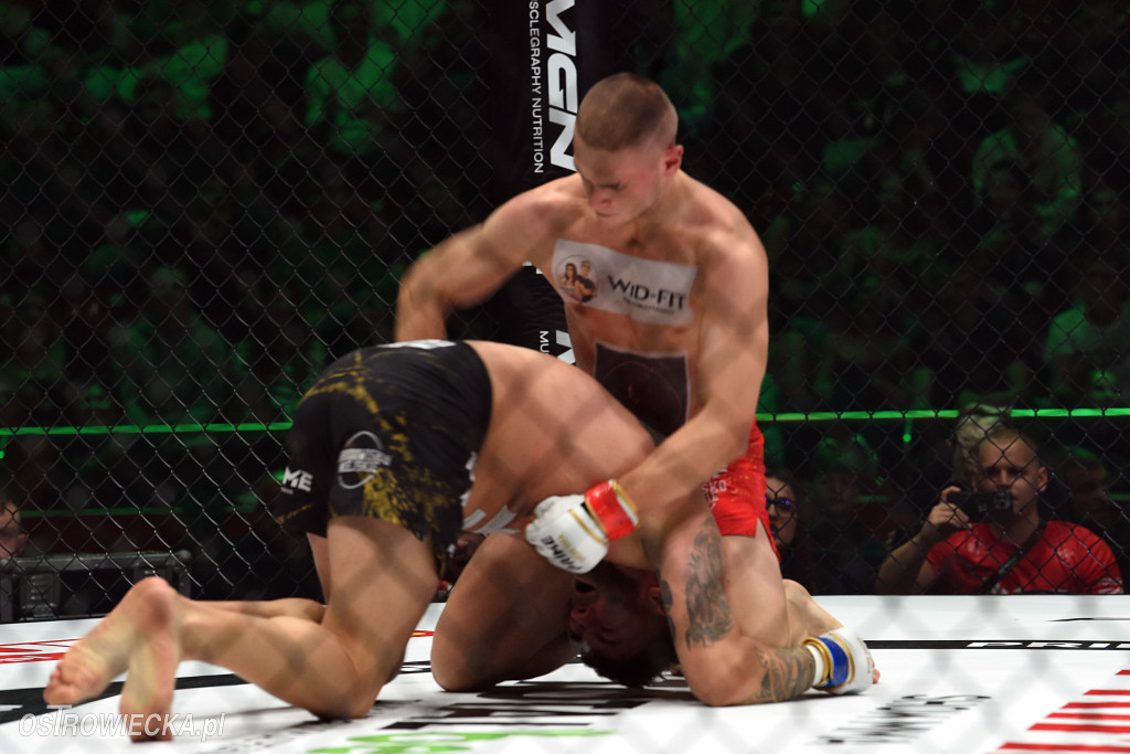 Gala PRIME MMA Ostrowiec Świętokrzyski