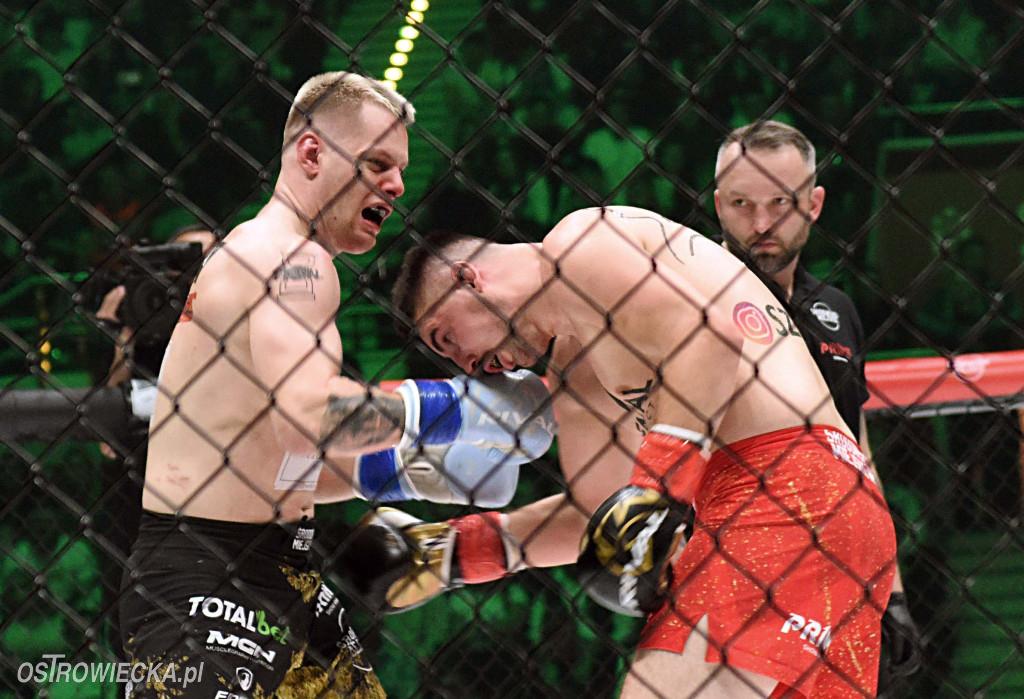 Gala PRIME MMA Ostrowiec Świętokrzyski