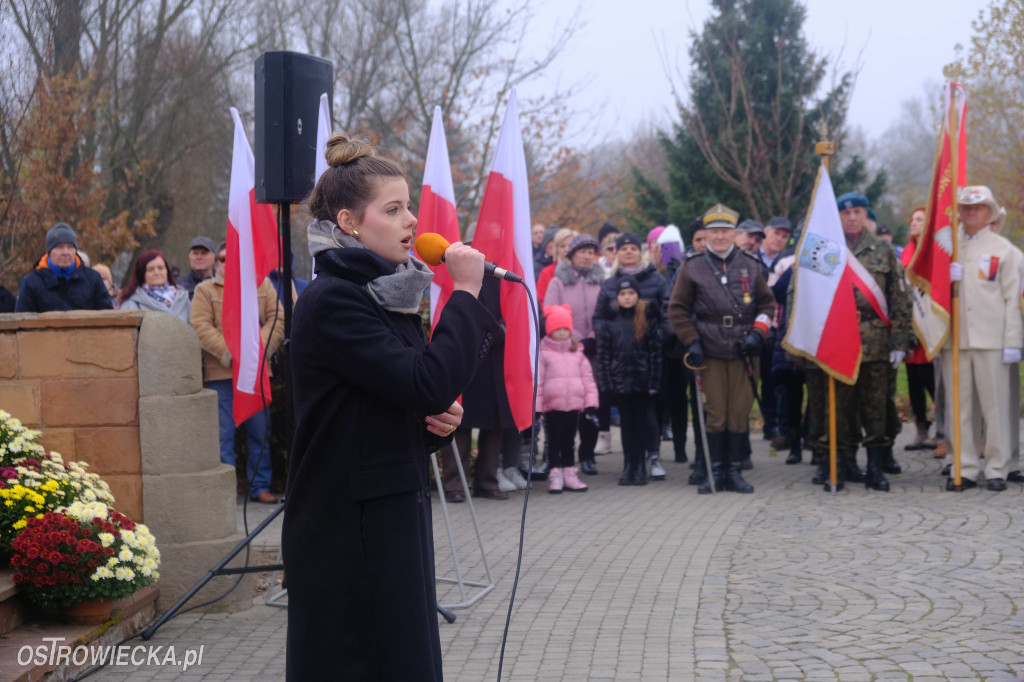 Dzień Niepodległości