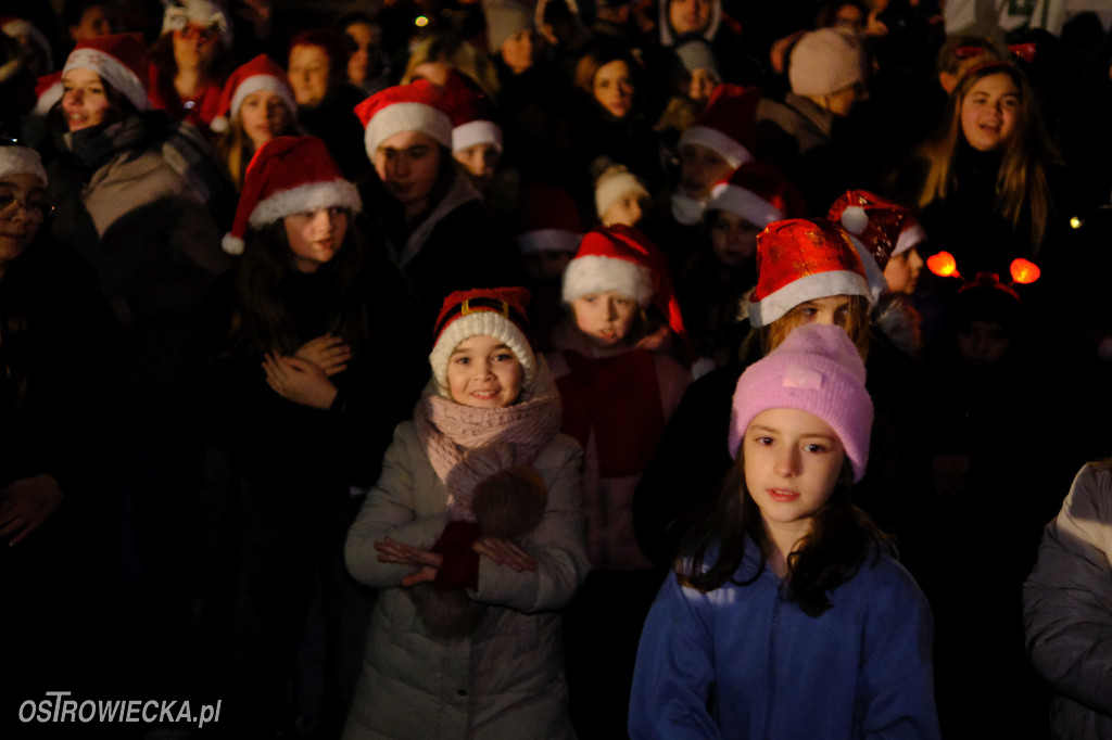 Rozświetlenie choinki na Rynku w Ostrowcu