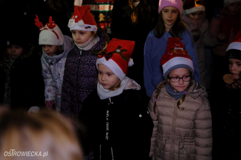 Rozświetlenie choinki na Rynku w Ostrowcu