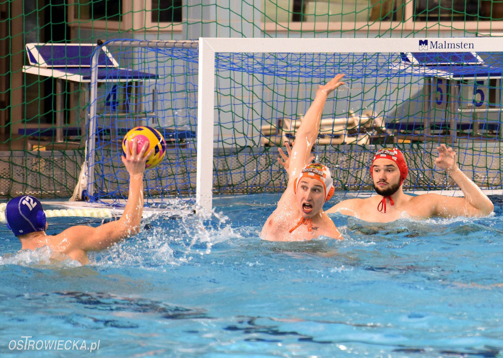 KSZO Ostrowiec Świętokrzyski- Waterpolo Poznań