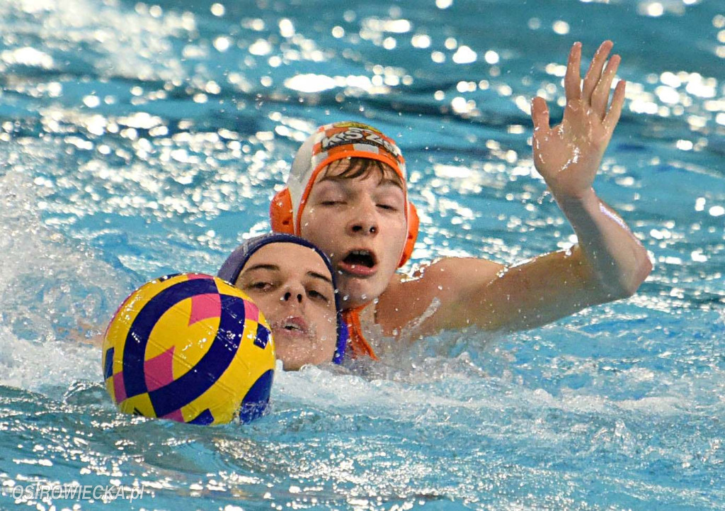 KSZO Ostrowiec Świętokrzyski- Waterpolo Poznań