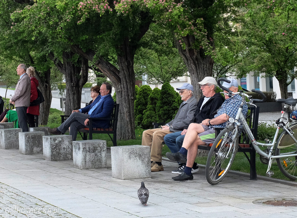 Lewica w Święto 1 Maja