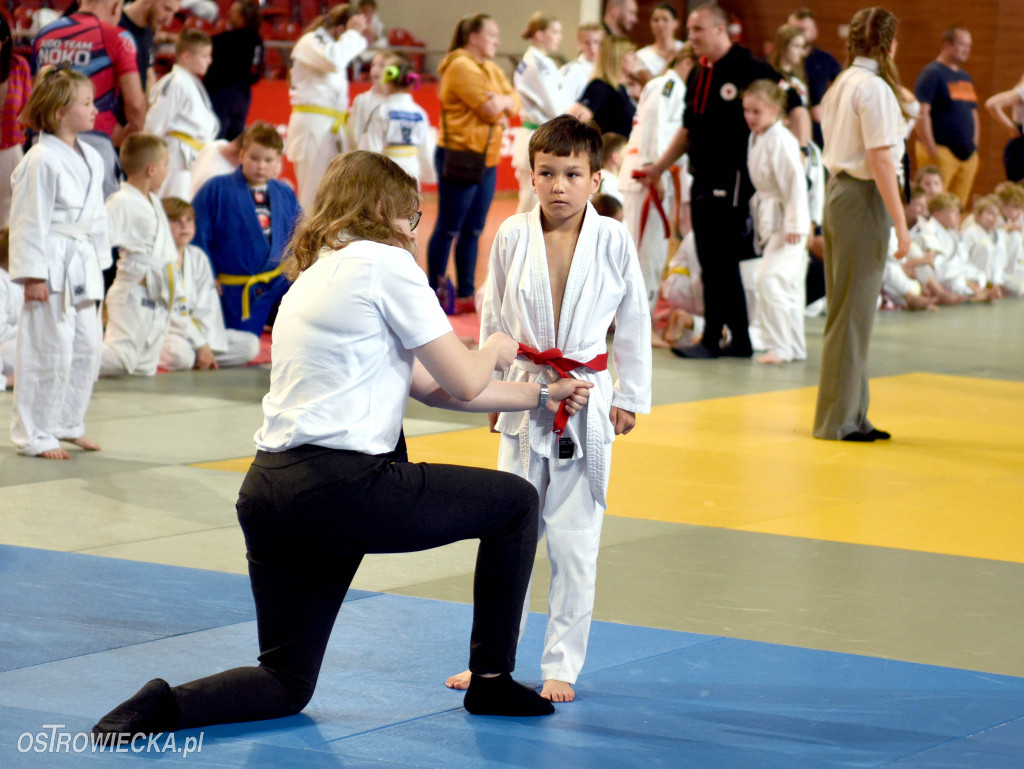 Judo na Dzień Dziecka