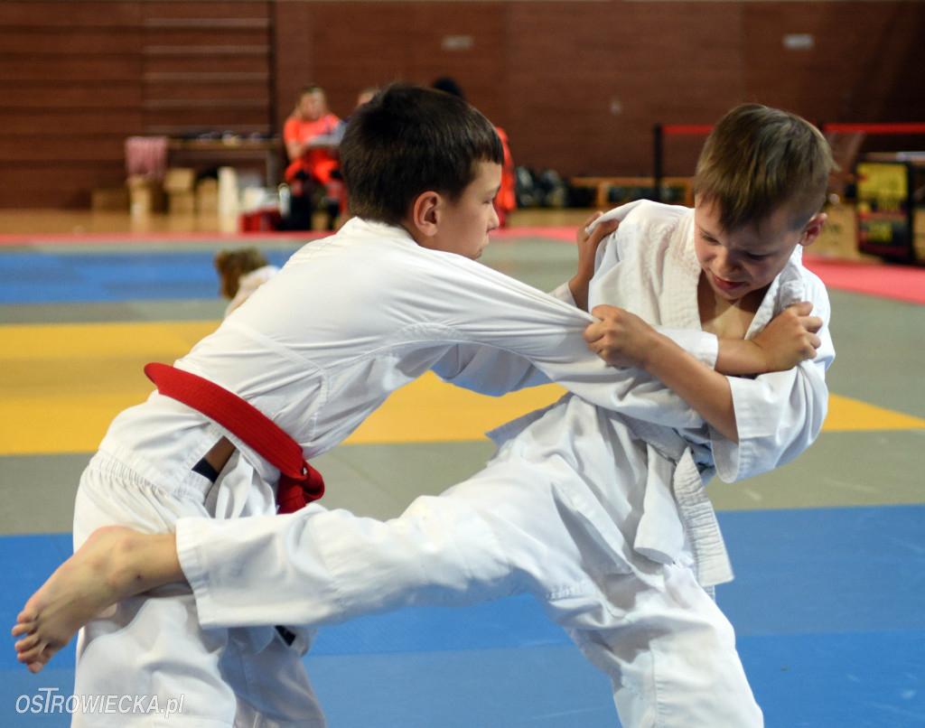 Judo na Dzień Dziecka