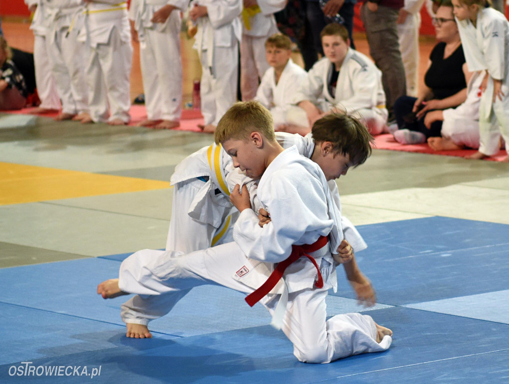 Judo na Dzień Dziecka