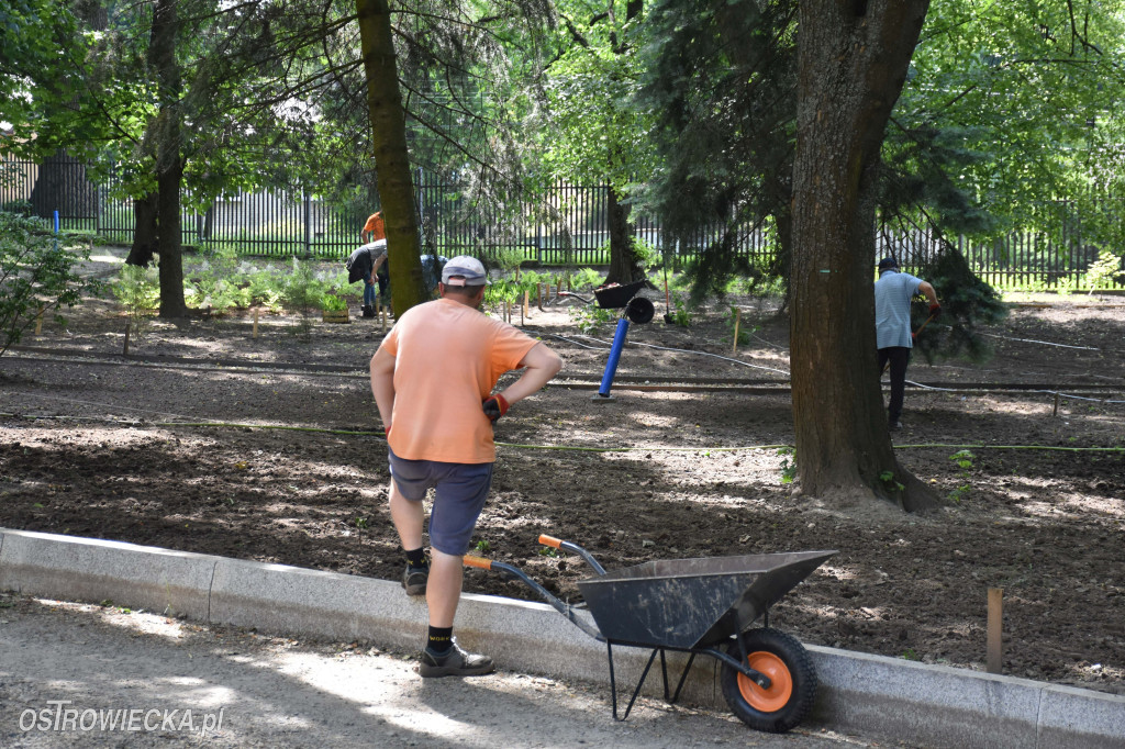 Park Pałacu Wielopolskich w rozkwicie!