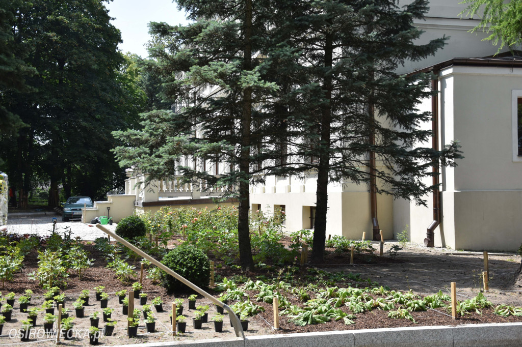 Park Pałacu Wielopolskich w rozkwicie!