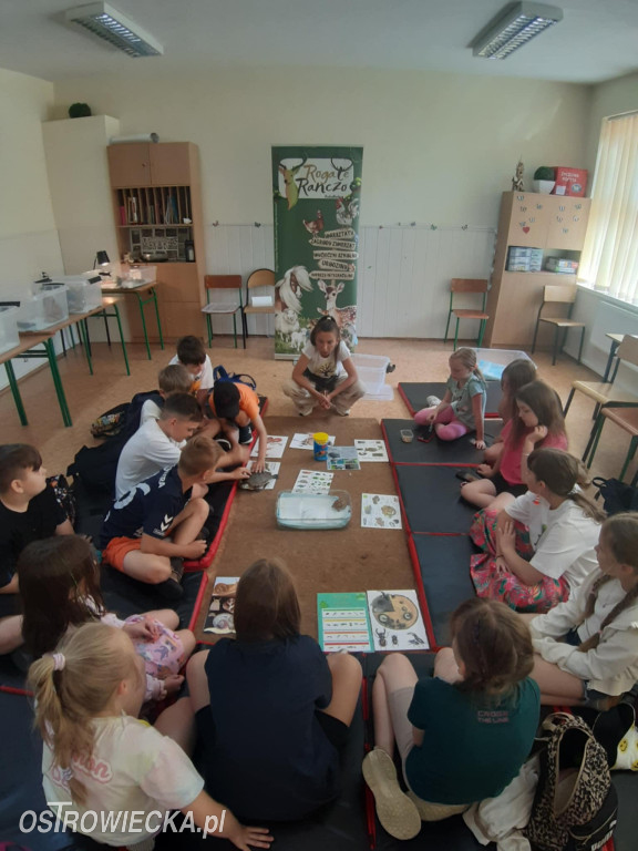Półkolonie w gminie Bodzechów pełne wrażeń