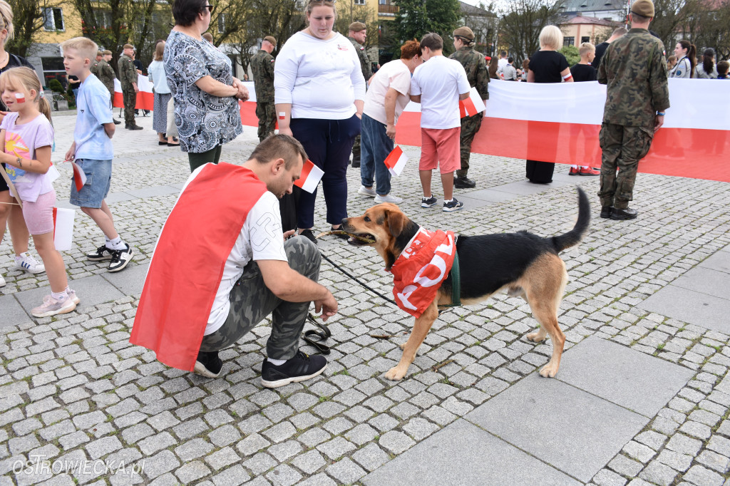 81. rocznica wybuchu Powstania Warszawskiego