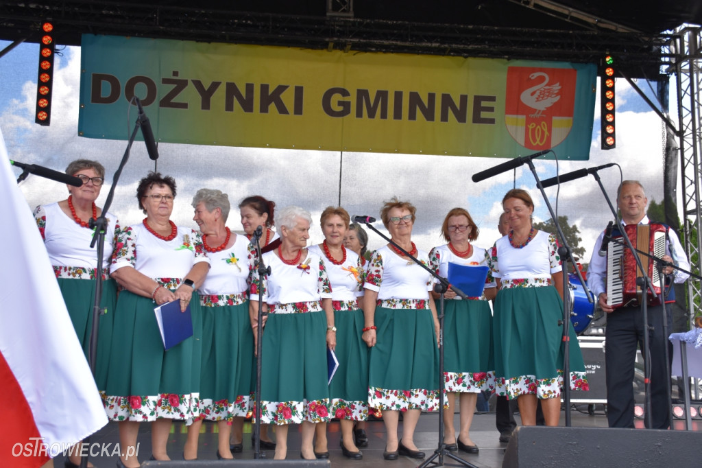 Dożynki w Waśniowie