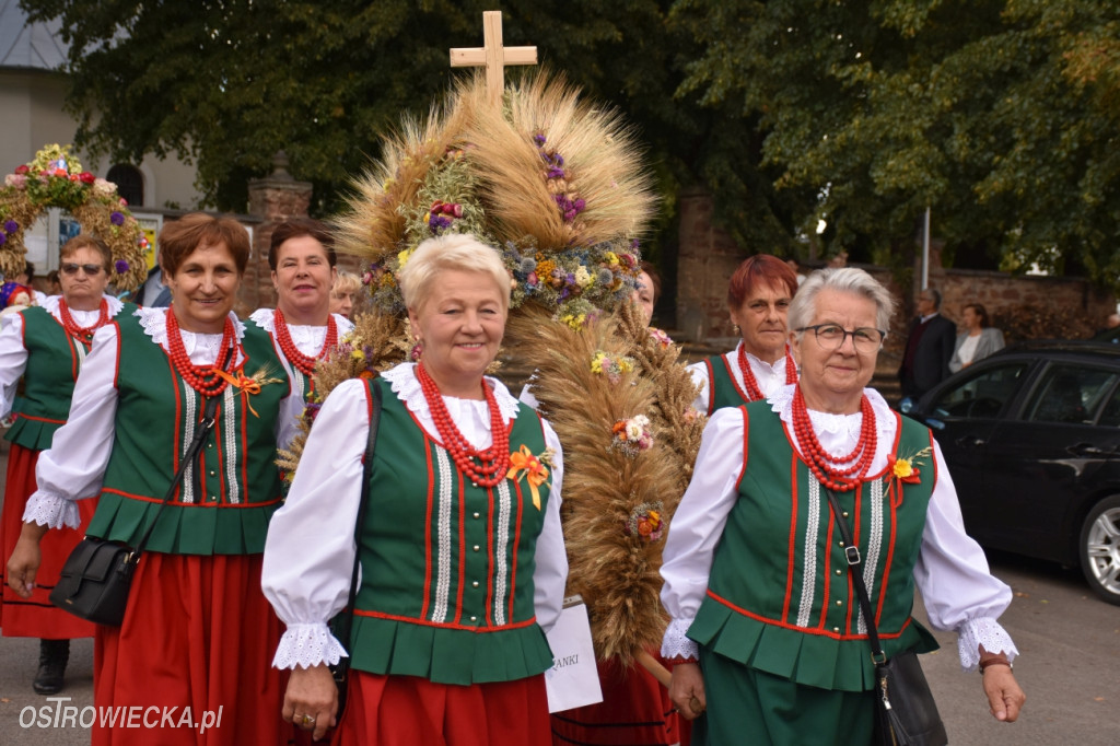 Dożynki w Waśniowie