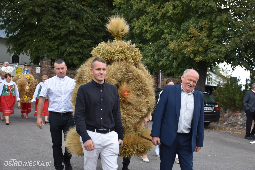 Dożynki w Waśniowie