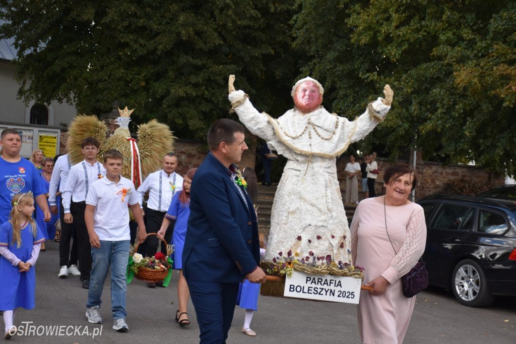 Dożynki w Waśniowie