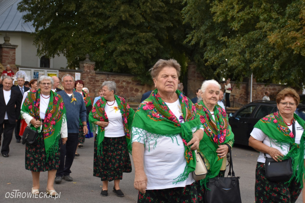Dożynki w Waśniowie