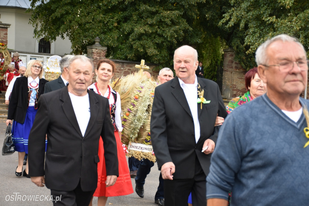 Dożynki w Waśniowie