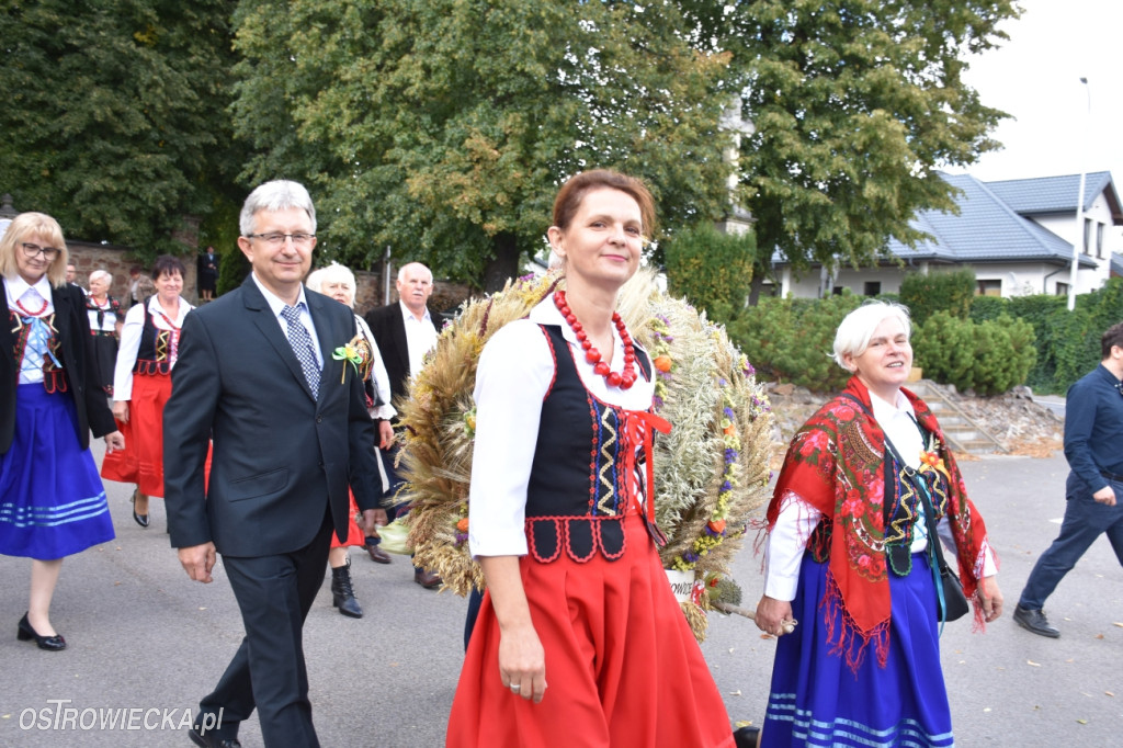 Dożynki w Waśniowie