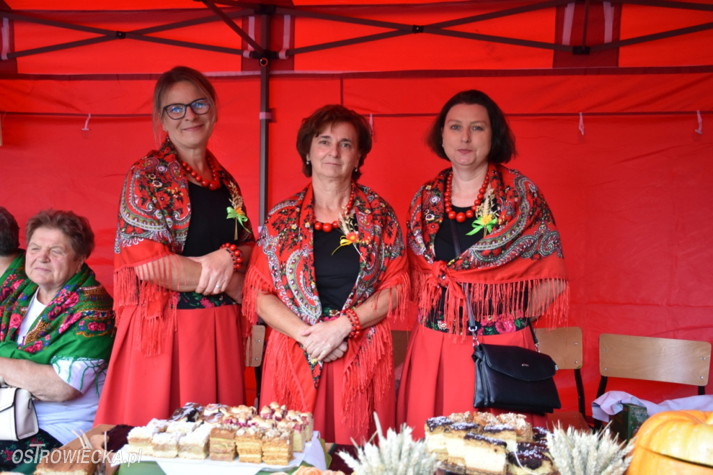 Dożynki w Waśniowie