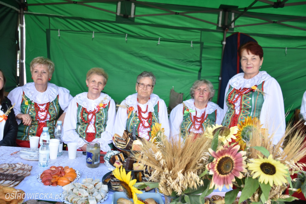 Dożynki w Waśniowie