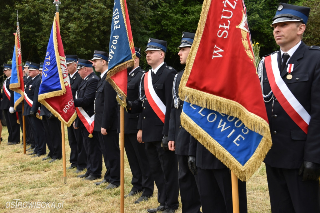 65-lecie OSP Gromadzice i Dożynki