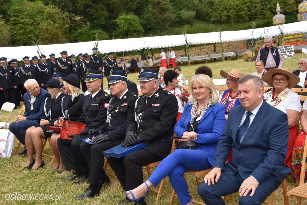 65-lecie OSP Gromadzice i Dożynki