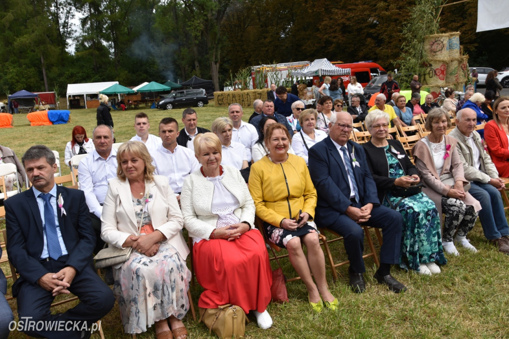 65-lecie OSP Gromadzice i Dożynki