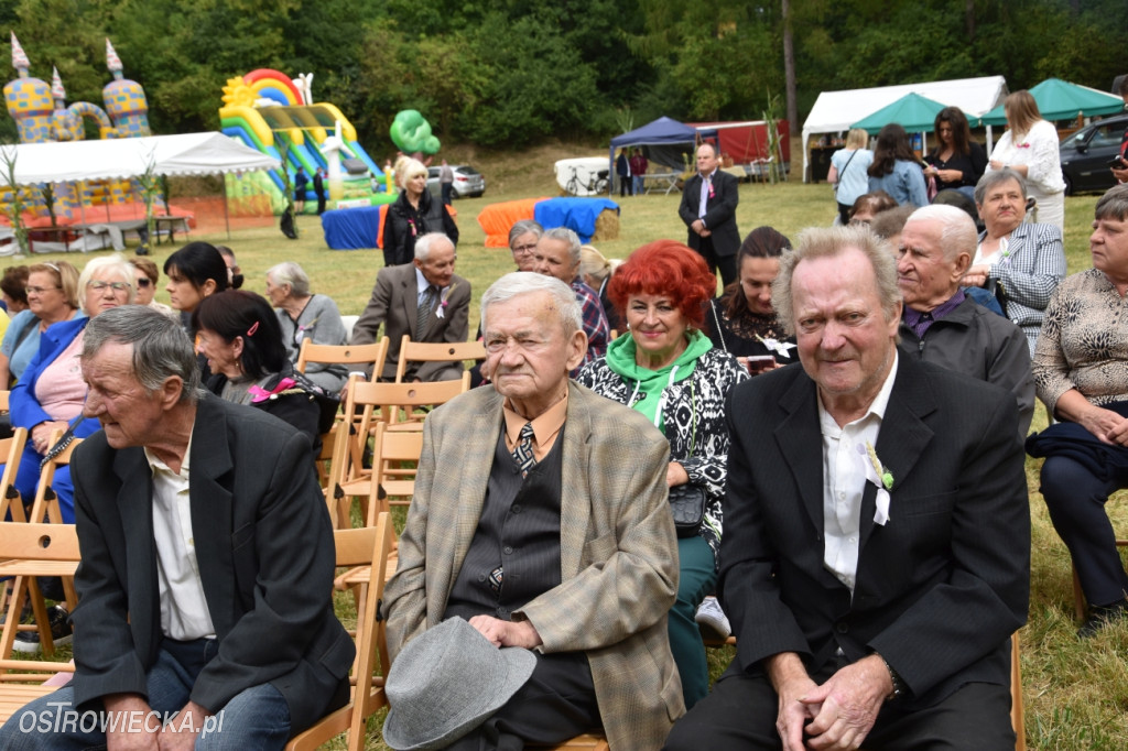 65-lecie OSP Gromadzice i Dożynki