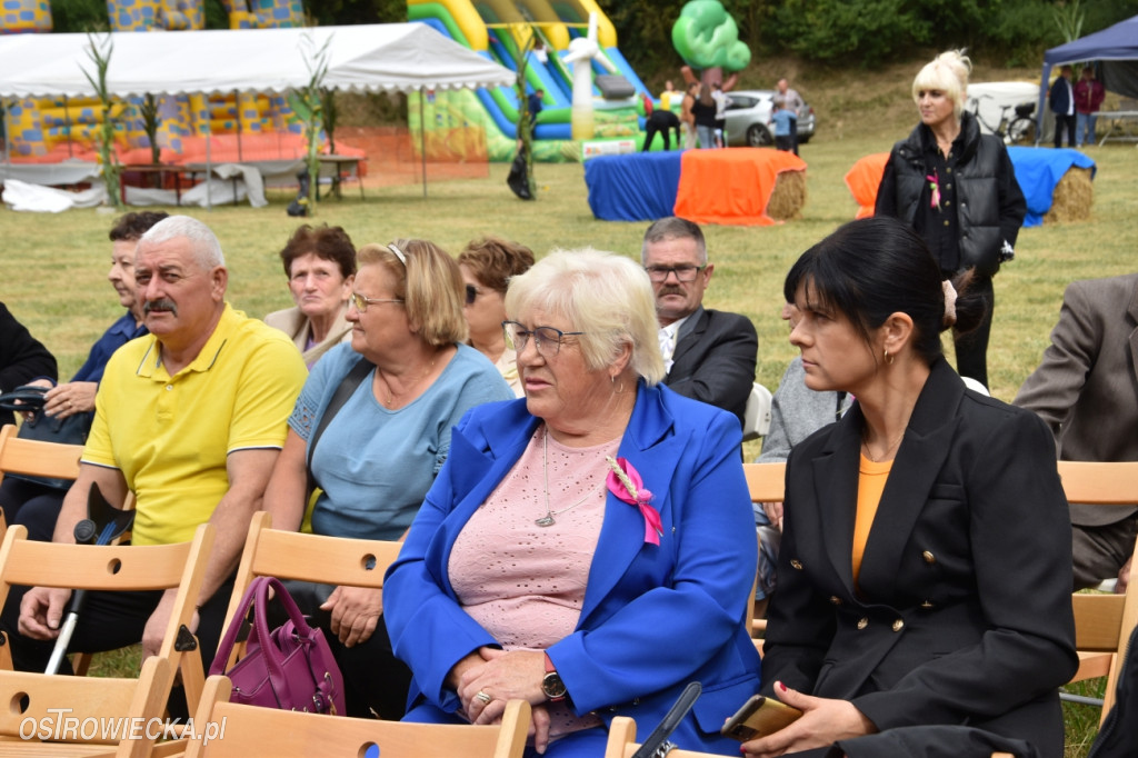 65-lecie OSP Gromadzice i Dożynki