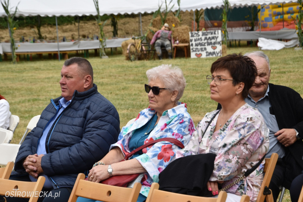 65-lecie OSP Gromadzice i Dożynki