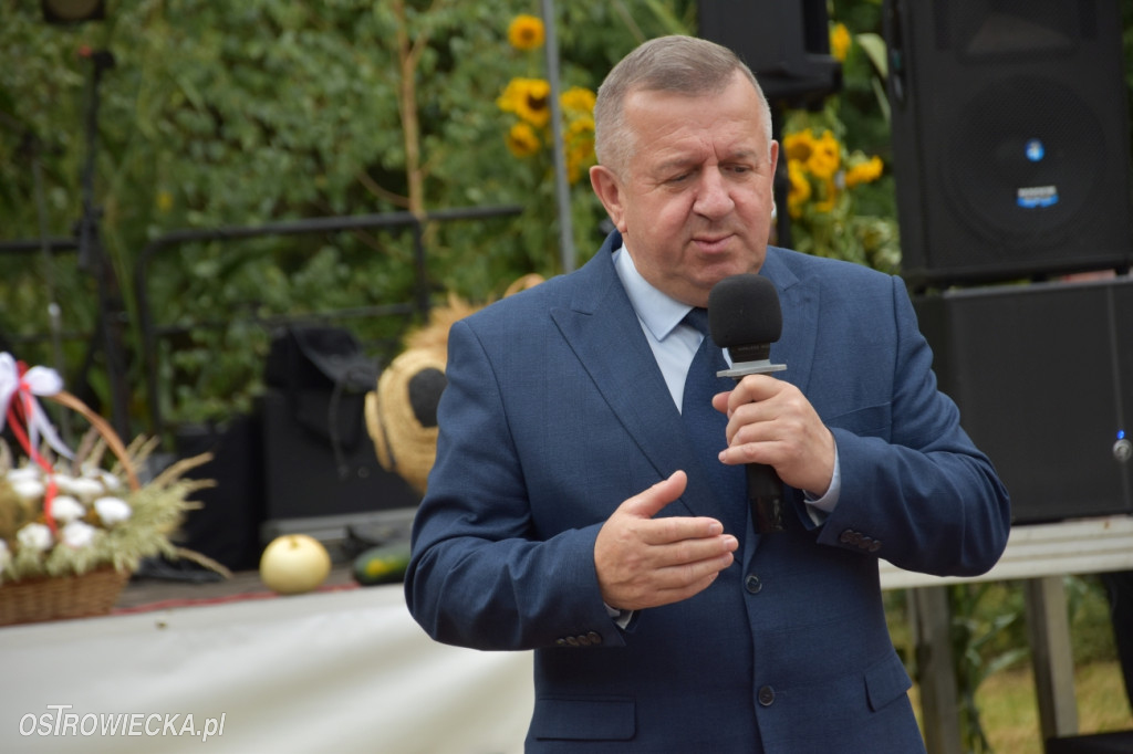 65-lecie OSP Gromadzice i Dożynki