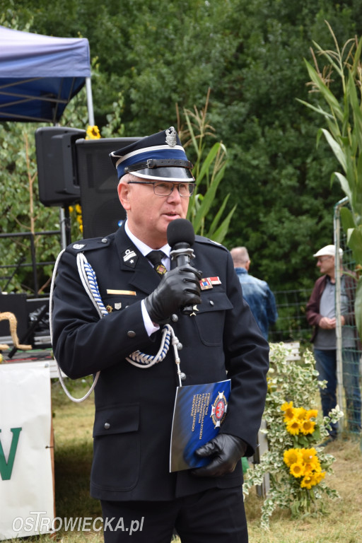 65-lecie OSP Gromadzice i Dożynki