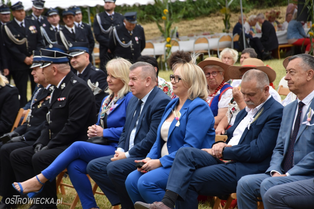 65-lecie OSP Gromadzice i Dożynki