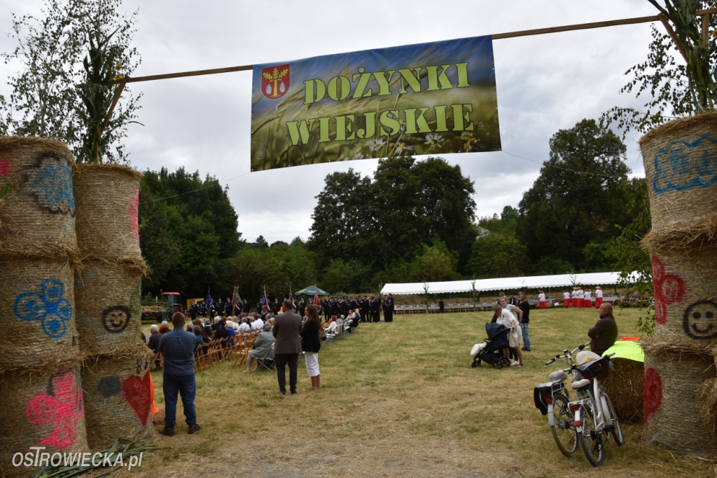 65-lecie OSP Gromadzice i Dożynki