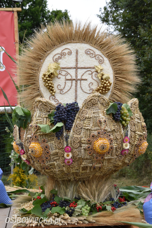 65-lecie OSP Gromadzice i Dożynki