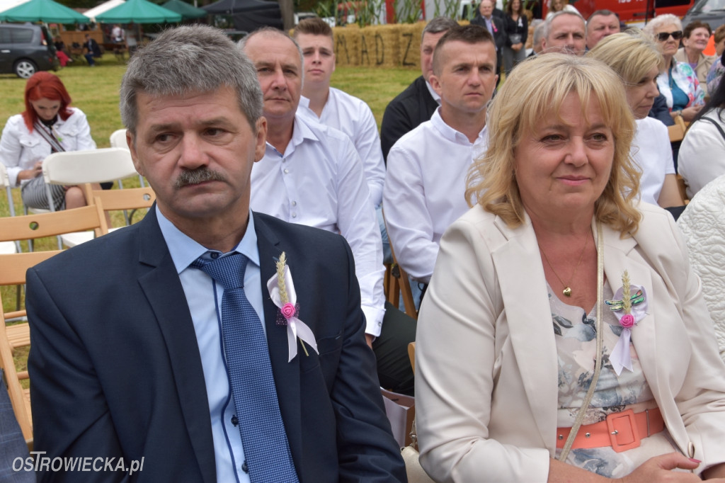 65-lecie OSP Gromadzice i Dożynki