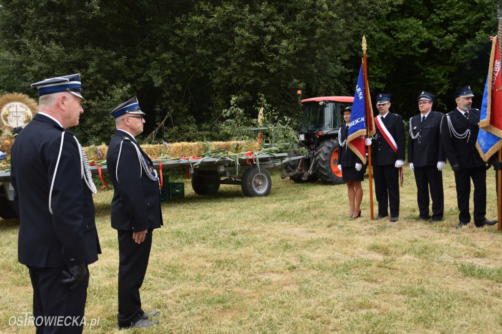 65-lecie OSP Gromadzice i Dożynki