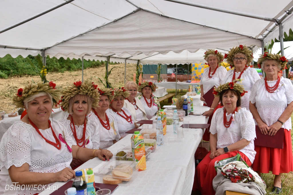 65-lecie OSP Gromadzice i Dożynki